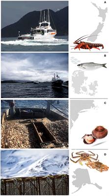 Mechanisms and models for industry engagement in collaborative research in commercial fisheries